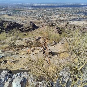 Meet your Posher, Bertha